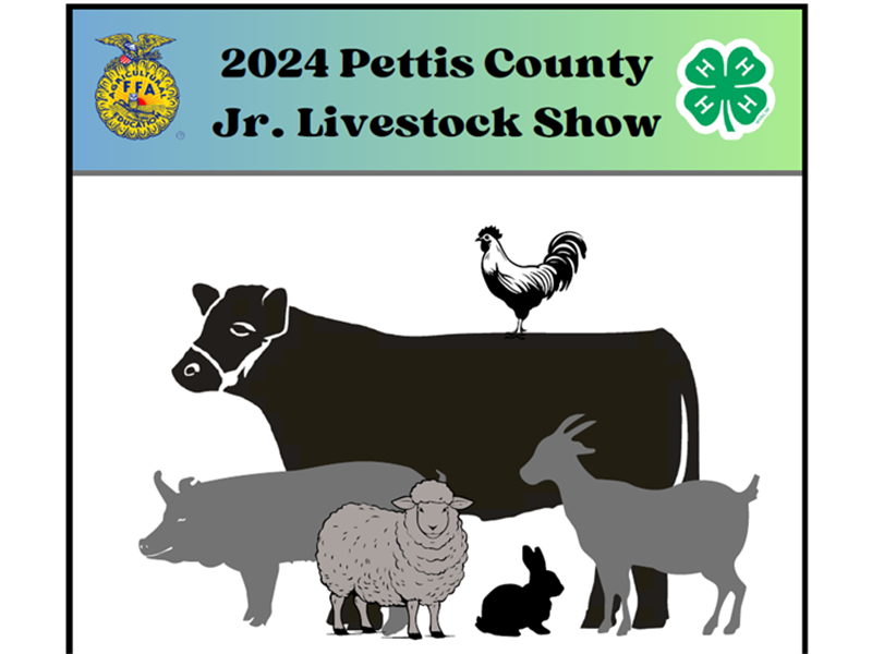 Logo for 2024 Pettis County 4-H & FFA Youth Show(s)