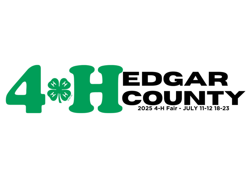 Fair Logo
