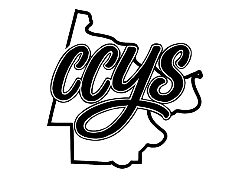 Fair Logo